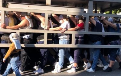 Calendario de ensayos de las cuadrillas de costaleros